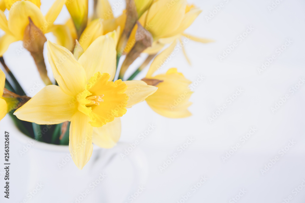 Fototapeta premium Jar with narcissuses at the white brick background. Spring, mothers day and Easter concept
