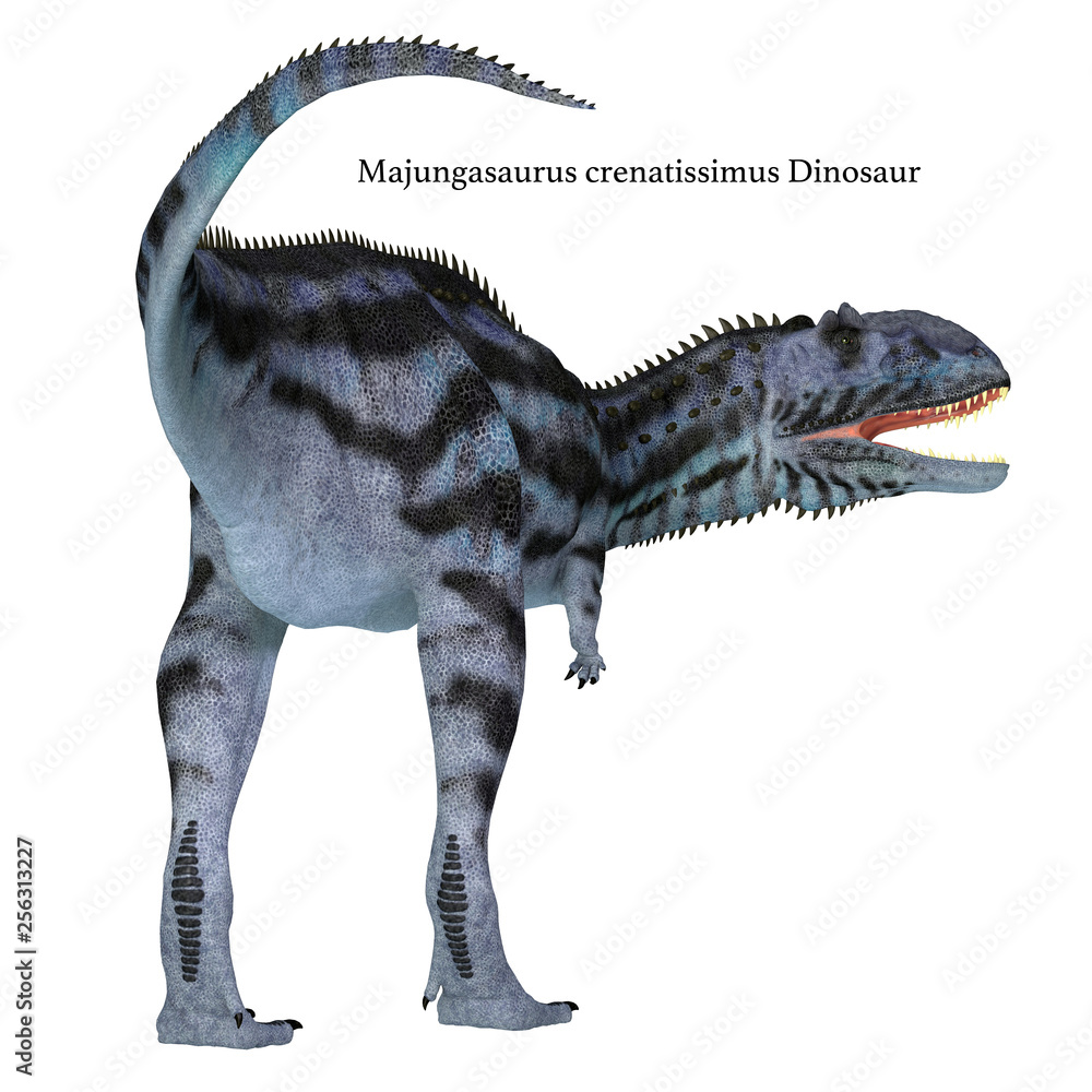 Majungasaurus Dinosaur Tail With Font Majungasaurus Was A Carnivorous Majungasaurus Dinosaur Tail With Font Majungasaurus Was A Carnivorous