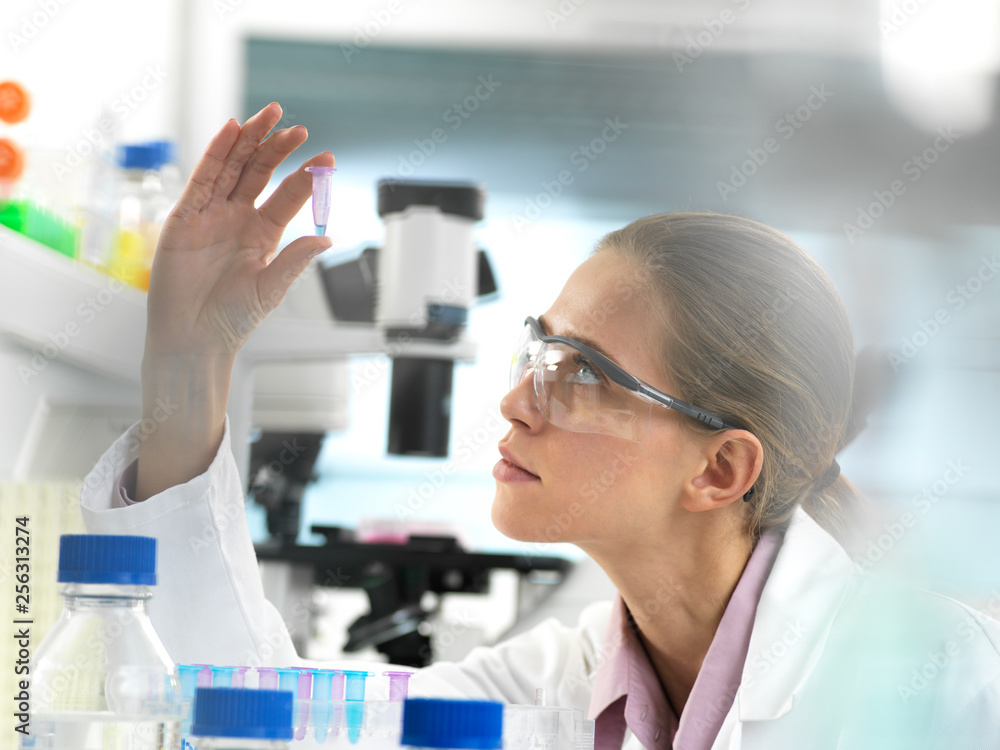 Scientist preparing a sample in a vial ready for analysis in the laboratory Scientist preparing a sample in a vial ready for analysis in the laboratory