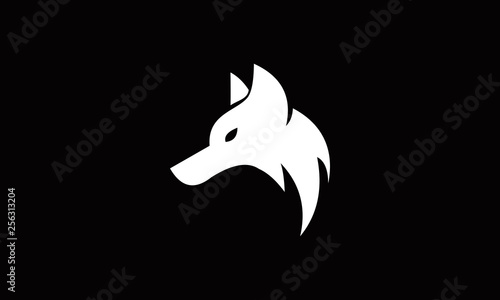 wolf face in black background