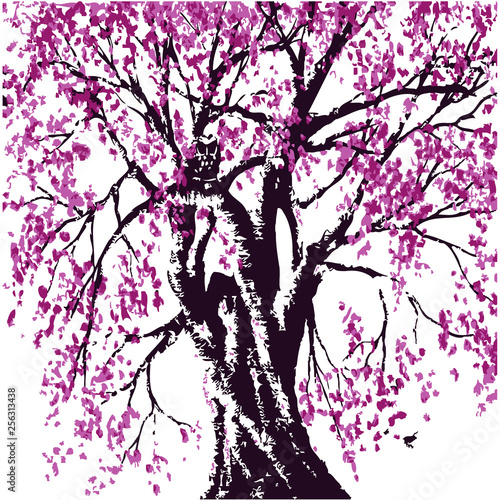 Sakura tree in bloom. Cherry blossom