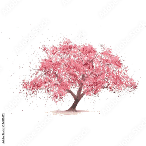 Fototapeta Sakura tree in bloom. Cherry blossom