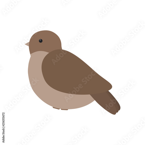 Bird. Little bird. Silhouette of a bird. Vector illustration. EPS 10.