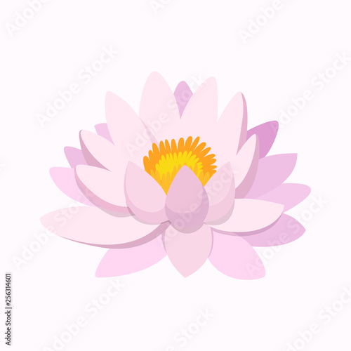 Lotus flower. Pink lotus. Flower. Vector illustration. EPS 10.