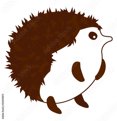 Porcupine vector color illustration.
