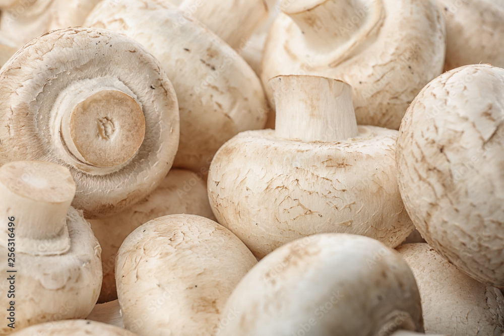 Fresh raw champignon mushrooms as background, closeup Fresh raw champignon mushrooms as background, closeup