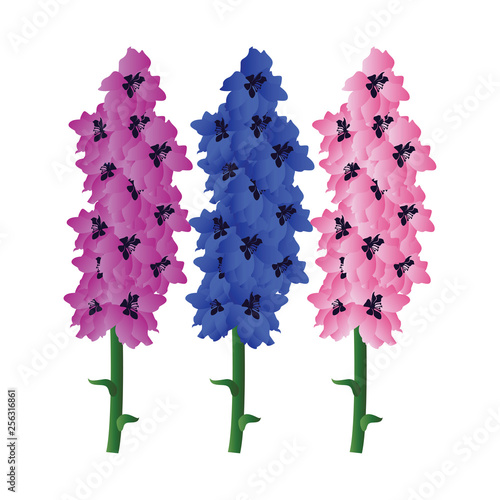 Vector illustration of violet blue and pink delphinium  flowers with green leafs on white background.