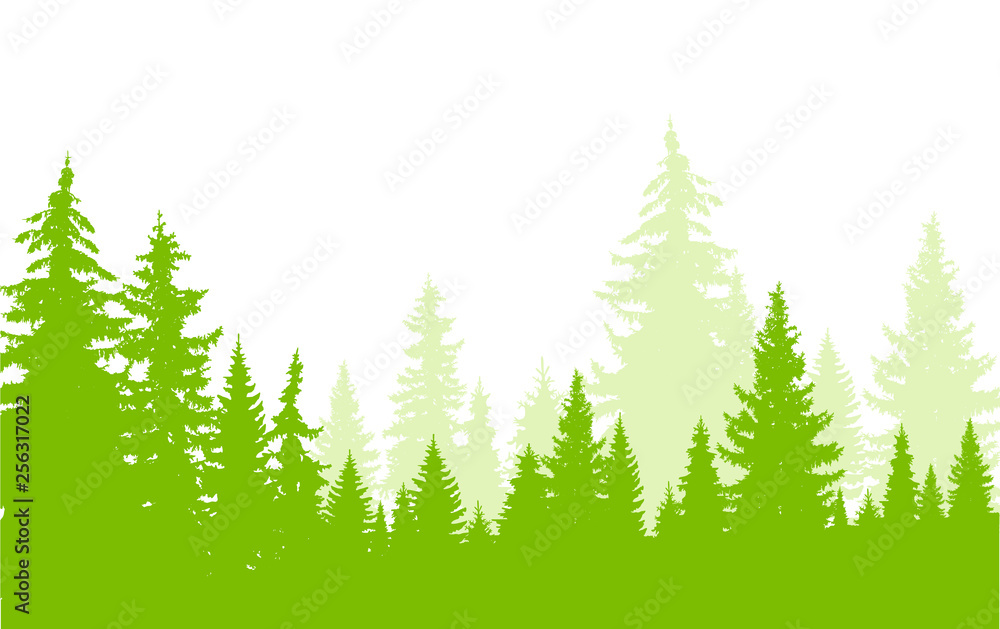 Obraz premium Horizontal banner of coniferous wood in green and white tones. Mist.