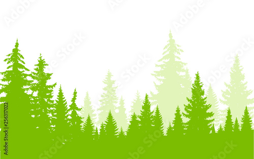 Horizontal banner of coniferous wood in green and white tones. Mist. © yik2007