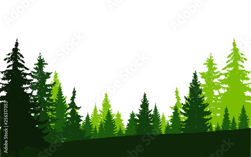 Horizontal banner of coniferous wood in green and black tones.