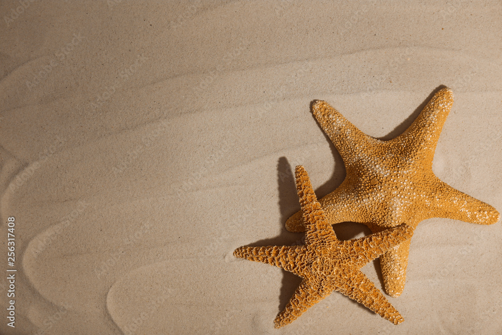 Starfishes on beach sand, top view. Space for text Starfishes on beach sand, top view. Space for text
