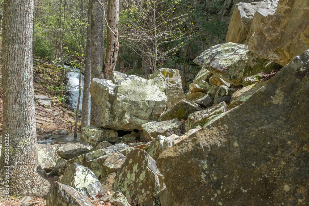 Fallen rocks in forest at base of gorge
