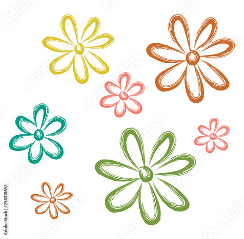 Aster flower vector or color illustration