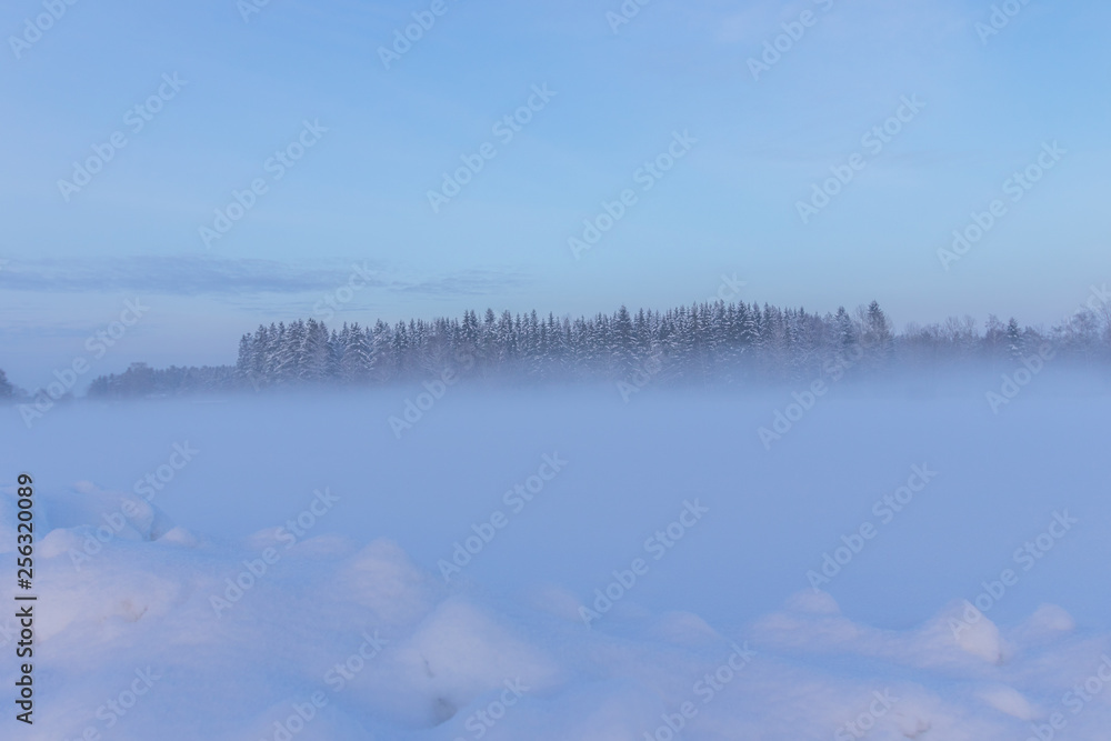 Fototapeta premium Winter landscape