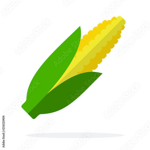 Ear of corn vector flat material design isolated object on white background.