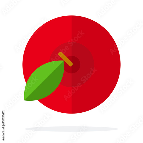 Red apple view from above vector flat material design isolated object on white background.