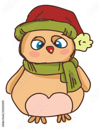 An owl wearing a muffler vector or color illustration