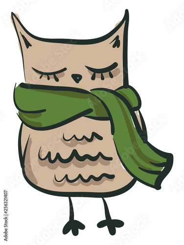 An owl wearing muffler vector or color illustration