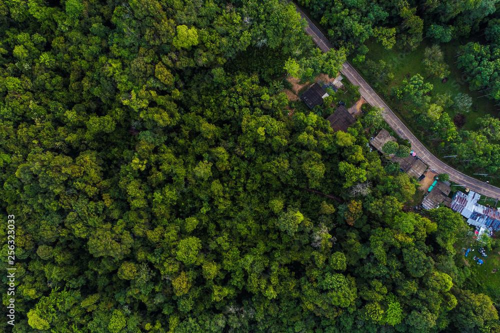 Aerial view tropical green forest with road on island