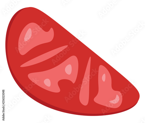 A slice of tomato vector or color illustration