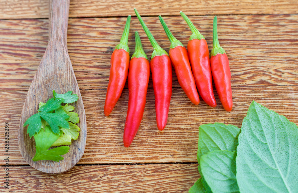 Red hot chili pepper and basil leaves wood background Red hot chili pepper and basil leaves wood background