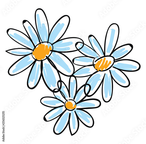White chamomile flowers vector illustration on white background.