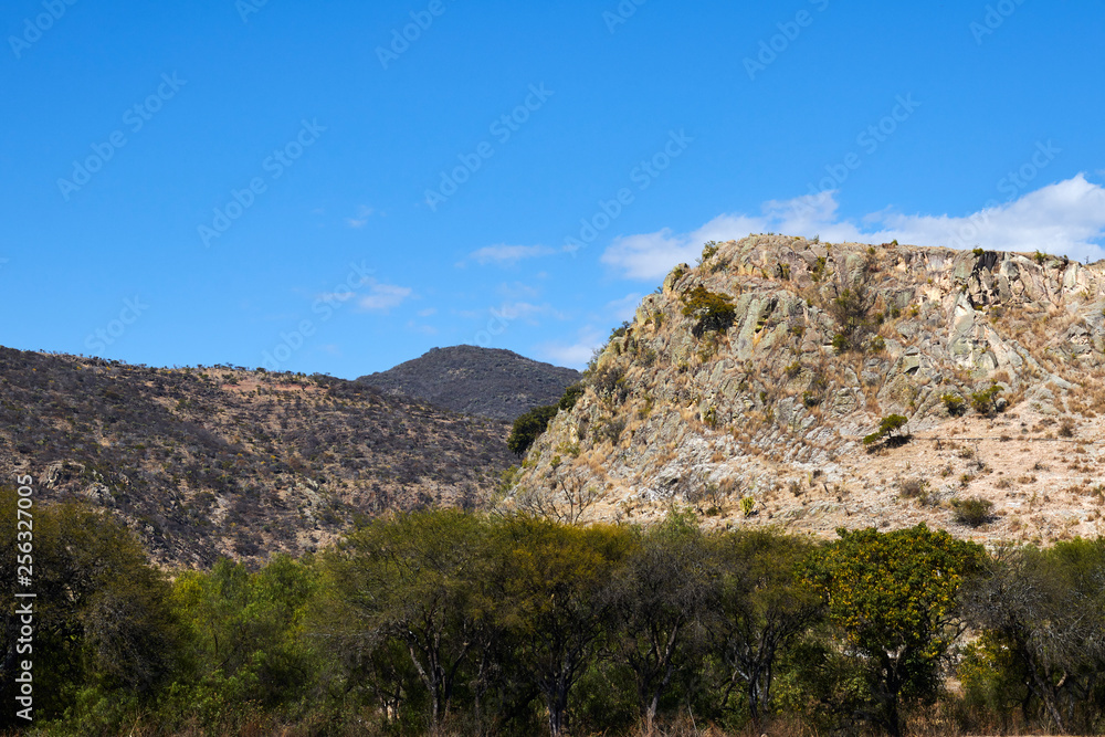 mount of yellow rock in front of a barrier of trees mount of yellow rock in front of a barrier of trees