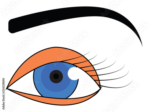 Blue eye with black eyebrow vector illustration on white background