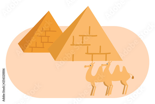 Two pyramides and two camels vector illustration on white background