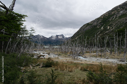 dique castor ushuaia 