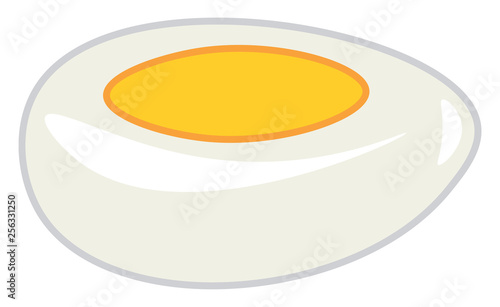 Fényképezés Hard boiled egg with yolk vector or color illustration
