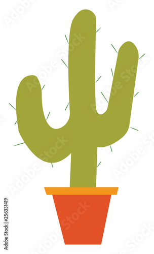 A trident shape cactus in earthen pot vector or color illustration