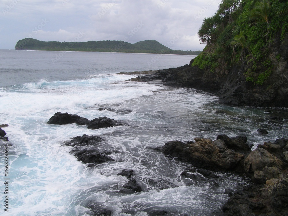 Fototapeta premium Samoa Beaches and Palm Trees
