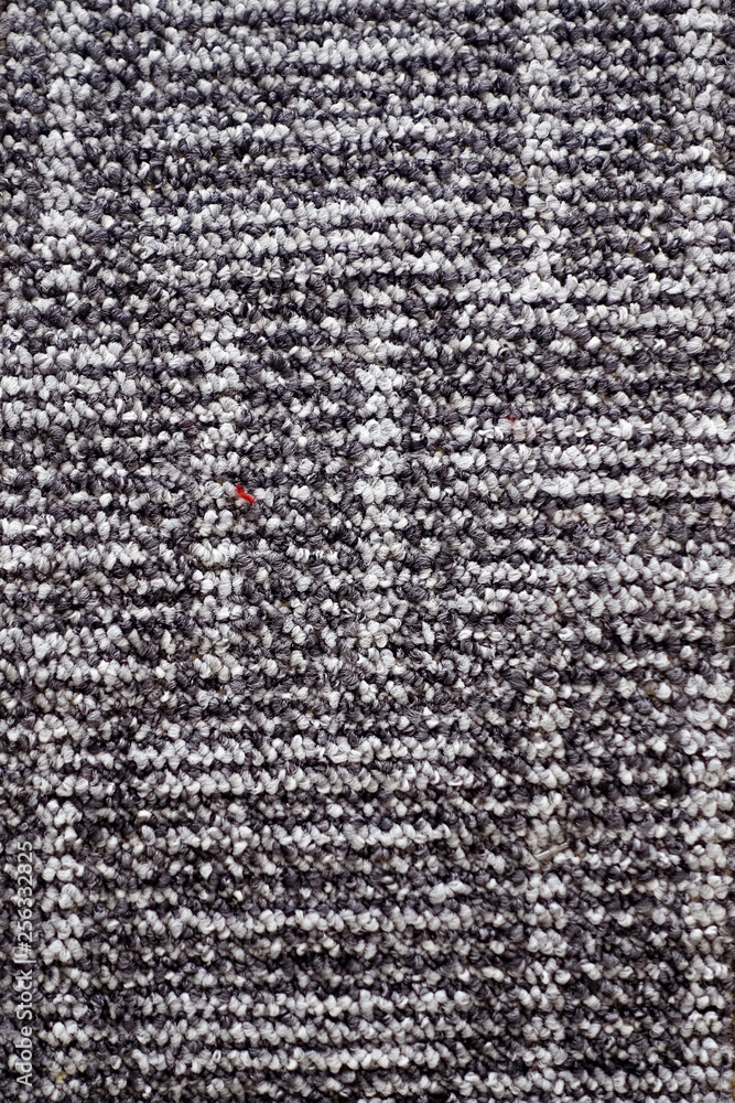  carpet floor covering