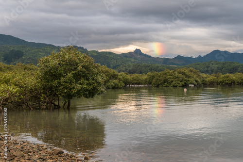 Partial rainbow over mountains in the background with mangroves growing in the foreground. Dark  cloudy sky close to sunset. Coromandel  New Zealand.