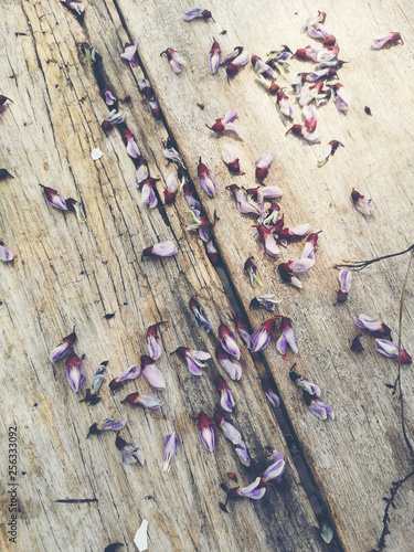 Old wood texture background...