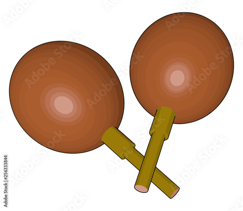 Maraca or rattle instrument vector or color illustration