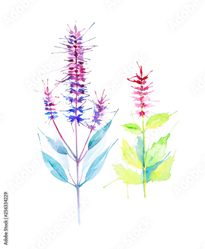Watercolor illustration of abstract lavender flowers. Isolated on white background