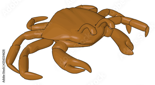 Eight walking legs shellfish animal vector or color illustration