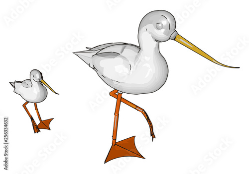 large wading bird vector or color illustration