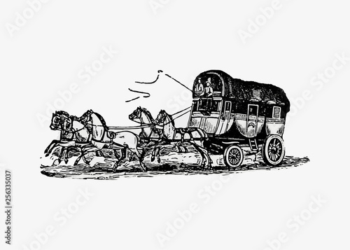 Horse carriage vintage drawing