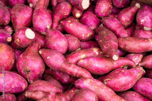 Camote