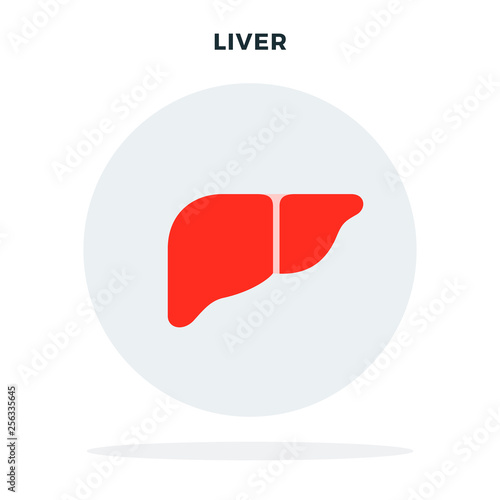Human liver concept in a circle vector flat isolated