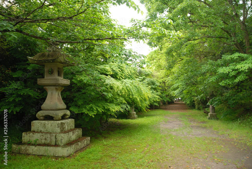 The approach to the shrine in woods