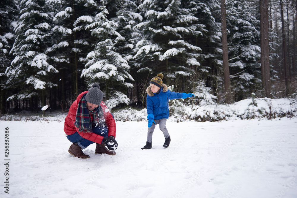 Father and little son having a snowball fight in winter forest Father and little son having a snowball fight in winter forest