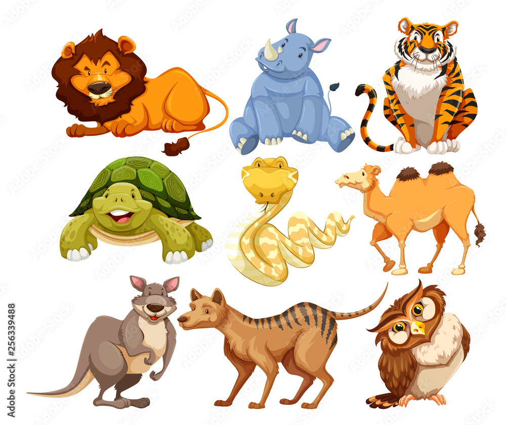 Obraz premium Set of wild animals
