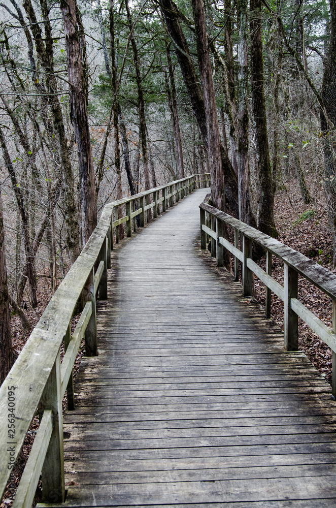 2019_02_02_Road_Trip_Blanchard_Springs_and_Devils_Knob 2019_02_02_Road_Trip_Blanchard_Springs_and_Devils_Knob