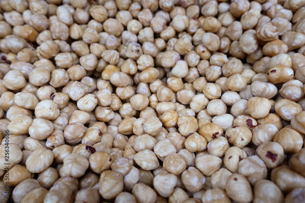 fresh hazelnut fresh hazelnut