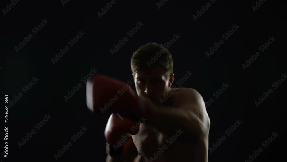 Young man in boxing gloves warming up before training, shadow fight, champion Young man in boxing gloves warming up before training, shadow fight, champion