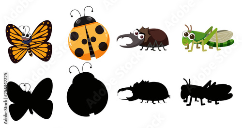Set of various insect © brgfx